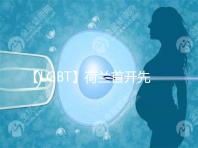 【LGBT】荷蘭首開先河,同性戀在越來越多國家開始合法化