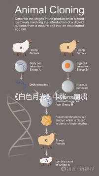《白色月光》中張一崩潰在孩子面前哭,你認為該不該?