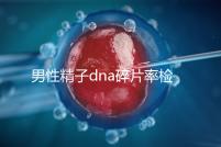男性精子dna碎片率檢查注意事項(xiàng)清單,禁欲幾天就知道了