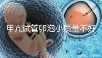 甲亢試管卵泡小質量不好怎么調養(yǎng)來瞧,五招教你快速改善