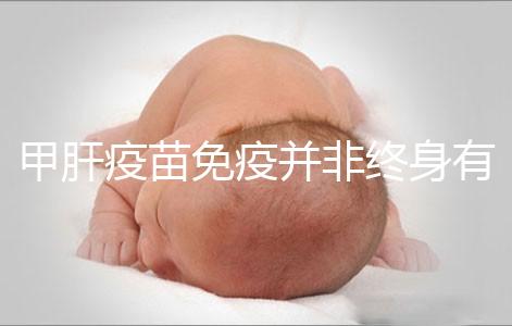 甲肝疫苗免疫并非終身有效,滅活類型抗體持續時間更久