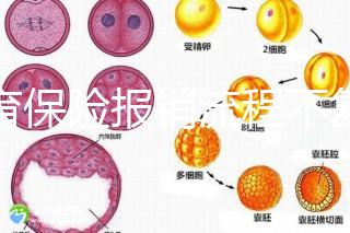生育保險報銷流程不復雜,辦理地點不分地域異地可報銷