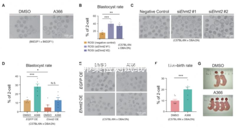 盤點卵巢檢測試紙和排卵試紙的區別，哪個更準確