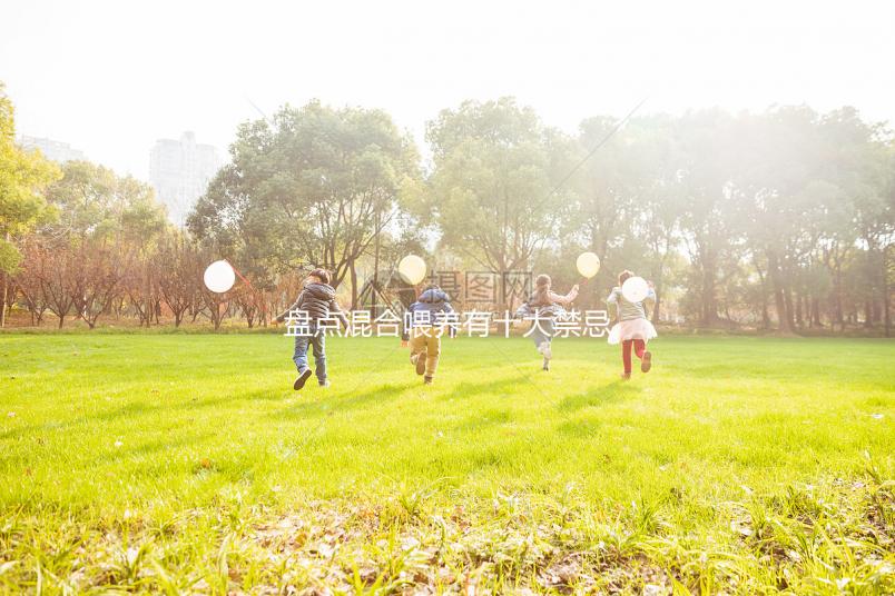 盤點(diǎn)混合喂養(yǎng)有十大禁忌！你能知道一頓母乳和一頓奶粉嗎？