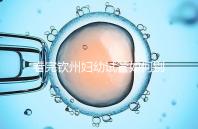 看完欽州婦幼試管如何別走,了解下助孕全過(guò)程費(fèi)用明細(xì)再說(shuō)