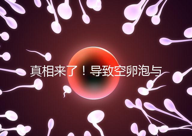 真相來了！導致空卵泡與多囊卵巢有關，區別在于以下四點，多研究