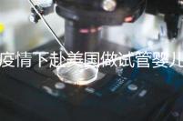 疫情下赴美國做試管嬰兒不安全，可提前做好準備工作