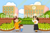 白扁豆的功效與作用及食用方法(白扁豆治什么病最好)