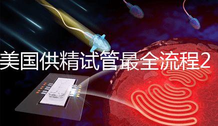 美國供精試管最全流程2024，時間長短關(guān)鍵看身體情況