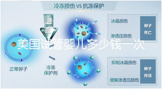 美國試管嬰兒多少錢一次?2025費(fèi)用清單與避坑指南!