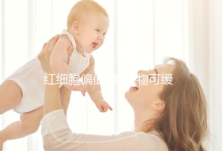 紅細(xì)胞偏低3類食物可緩解,2類食物可進(jìn)行調(diào)理