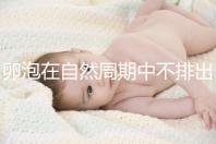 卵泡在自然周期中不排出可以移植快速get嗎？取卵好看嗎？