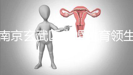 南京玄武區(qū)未婚生育領(lǐng)生育金看條件,社會撫養(yǎng)費交不了多少