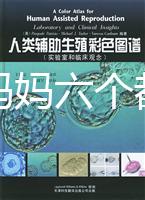 十個準媽媽六個都貧血,別讓貧血傷害你的“好孕”!