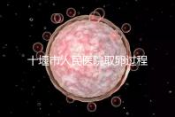 十堰市人民醫院取卵過程詳解,三種情況可全身麻醉