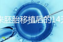原來(lái)胚胎移植后的14天,這些信號(hào)預(yù)示著床成功