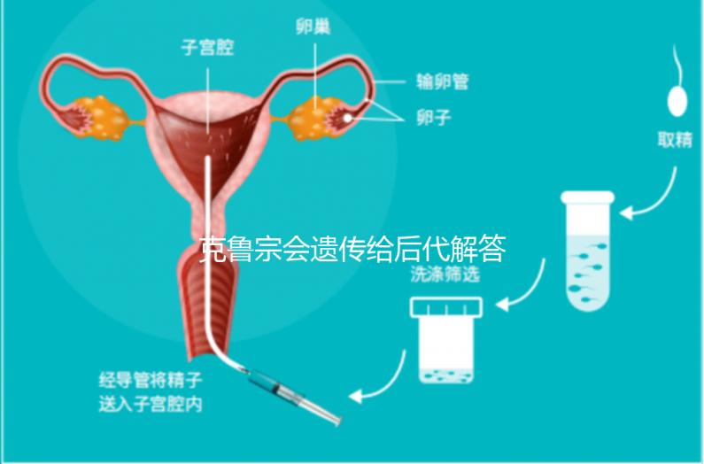 克魯宗會遺傳給后代解答嗎？他生來就有一篇清晰的文章嗎？