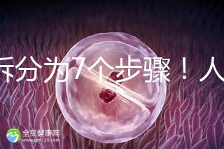 共拆分為7個步驟！人工授精自然周期流程全解