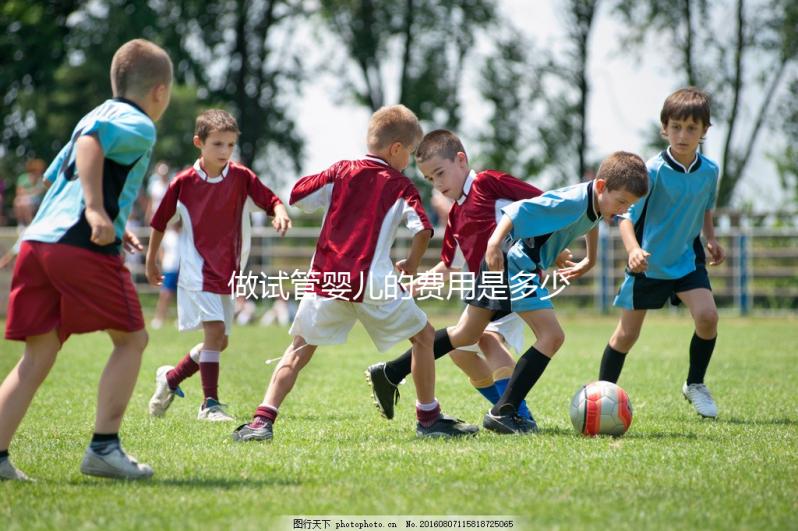 做試管嬰兒的費(fèi)用是多少？