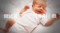 做試管嬰兒大概費用(做試管嬰兒大概費用多少)