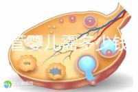 做試管嬰兒需多少錢 做試管...@夏子軒健康講堂的動態(tài)