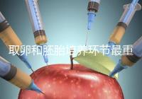 取卵和胚胎培養環節最重要？做試管嬰兒的你一定不知道！