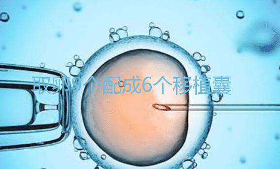 取卵9個配成6個移植囊胚成功率不高？專家：做三代試管夠了