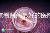 北京看腎病最好的醫(yī)院(北京腎內科最厲害三個醫(yī)生)