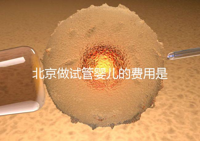 北京做試管嬰兒的費用是多少錢？詳細流程是怎樣的？