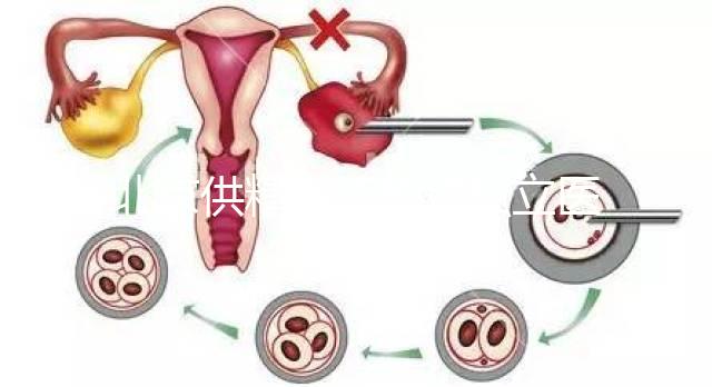 北京供精人工授精私立醫院排名表來了！哪個好看就知道了？