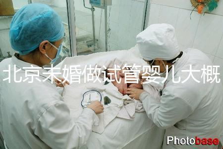 北京未婚做試管嬰兒大概多少錢(qián)?