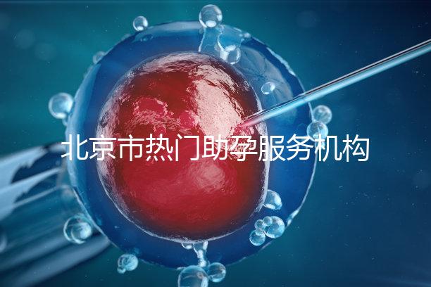 北京市熱門助孕服務機構排名榜單！這三家性價比比較出眾！