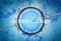 北京試管嬰兒公立醫院排名榜，十大頂尖選擇！