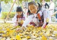 北京試管嬰兒醫院，附成功率、費用