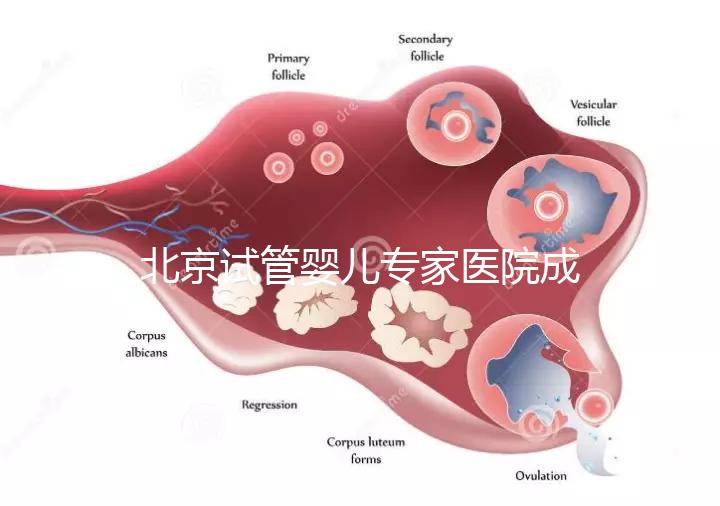 北京試管嬰兒專家醫院成功率高嗎,醫院推薦與費用解析