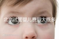 北京試管嬰兒費用大概多少