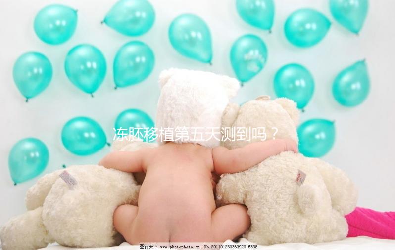 凍胚移植第五天測到嗎？肚子脹or腰疼這些感覺暗示著床了