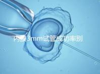 內膜3mm試管成功率別沒數，多久移植、出血與否是關鍵