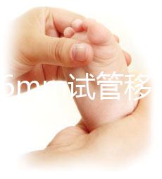 內膜16mm試管移植能否著床速覽，可否移植看身體情況