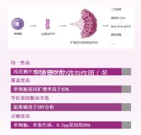 冬凌草的功效與作用(冬凌草的功效與作用的功能與主治)