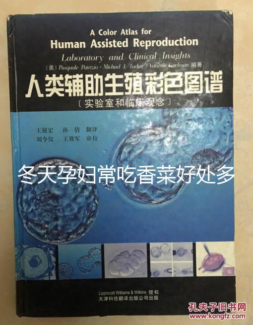 冬天孕婦常吃香菜好處多，搓成丸子味道更佳