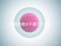 別再傻傻分不清了！詳解美國試管嬰兒和人工授精的區別