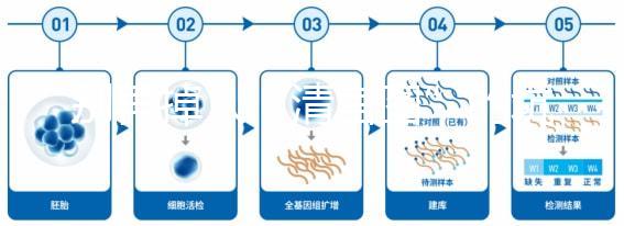 別再掉入“清宮圖”的坑中!備孕不應(yīng)錯過女性最佳生育年齡