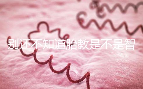 別還不知道胎教是不是智商稅，有沒有用來聽聽專家怎么說