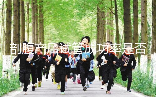 剖腹產(chǎn)后試管成功率是否很低?適當?shù)恼{(diào)理影響真的很小