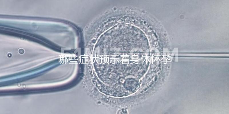 哪些癥狀預示著身體懷孕了