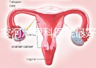 哪家河池男科醫院最好快速收藏，金城江區最有名的就在這里