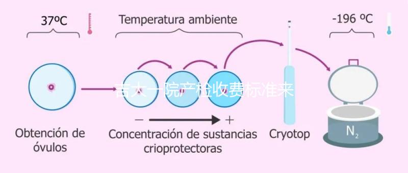 吉大一院產檢收費標準來了!免費項目和報銷比例一文說明