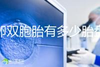 同卵雙胞胎有多少胎盤？1個or2個當(dāng)場講給你聽