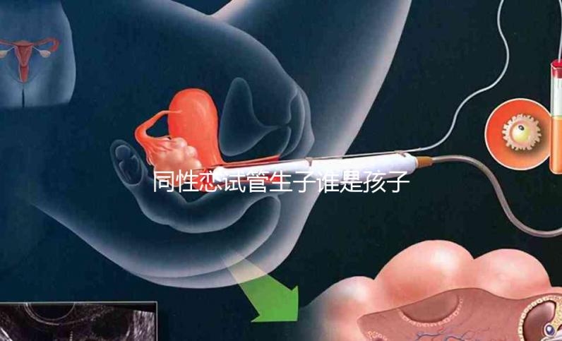 同性戀試管生子誰是孩子爸惹爭議！血緣關系竟成迷